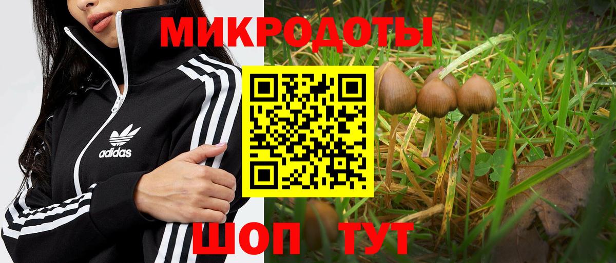 Кашира  где найти   Вход с VPN  Галлюциногенные грибы мицелий  Галлюциногенные грибы Cubensis 