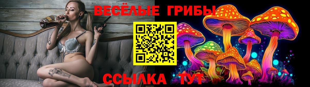 Псилоцибиновые грибы мухоморы Кашира